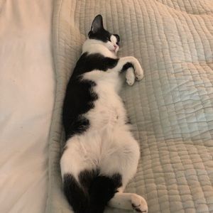 Meet your Posher, Sara